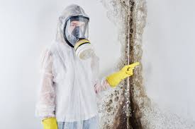 Best Emergency Mold Remediation  in Lavonia, GA